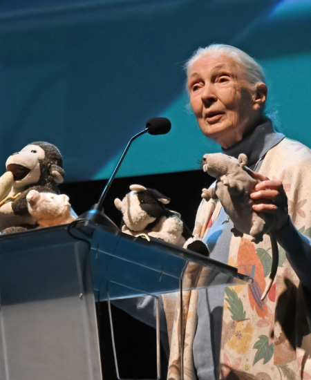 Destacada etóloga Jane Goodall realizó charla magistral en teatro de Fundación CorpArtes