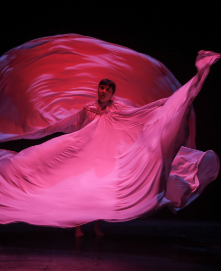 Foto del espectáculo Pareidolia de la compañía La Llave Maestra