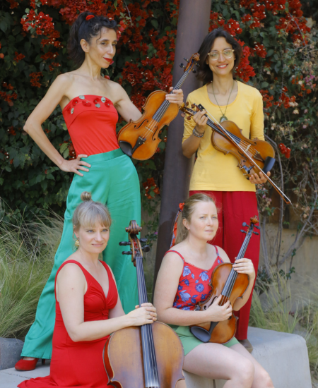 El Cuarteto de Cuerdas Las Melodías de la Comadreja.